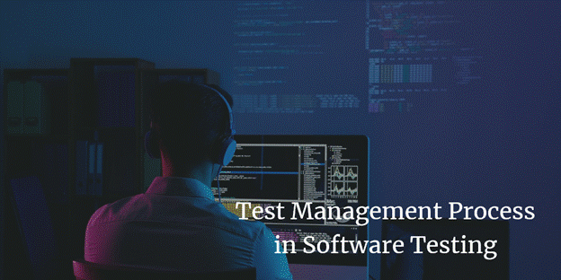 Test Management Process in Software Testing, Test Management process Test Management Process in Software Testing