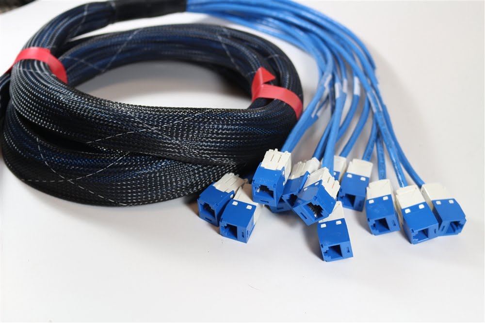 Pre-terminated Copper Trunk Cable: A Comprehensive Guide and Its Importance, copper trunk cables Jack To Jack.jpg