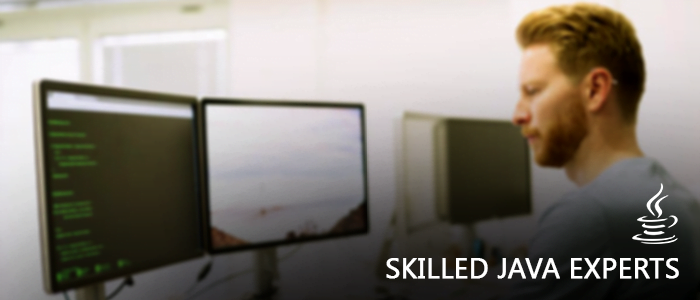 Is the shortage of skilled Java experts is a concern for the future?, skilled Java experts Skilled JAVA Experts